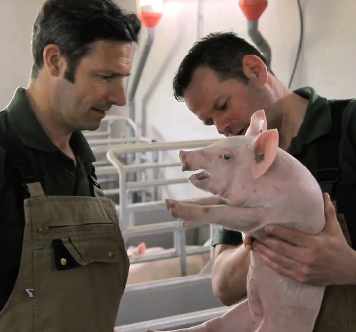 Two men in overalls holding a small pig with pigs and kennels in the background.